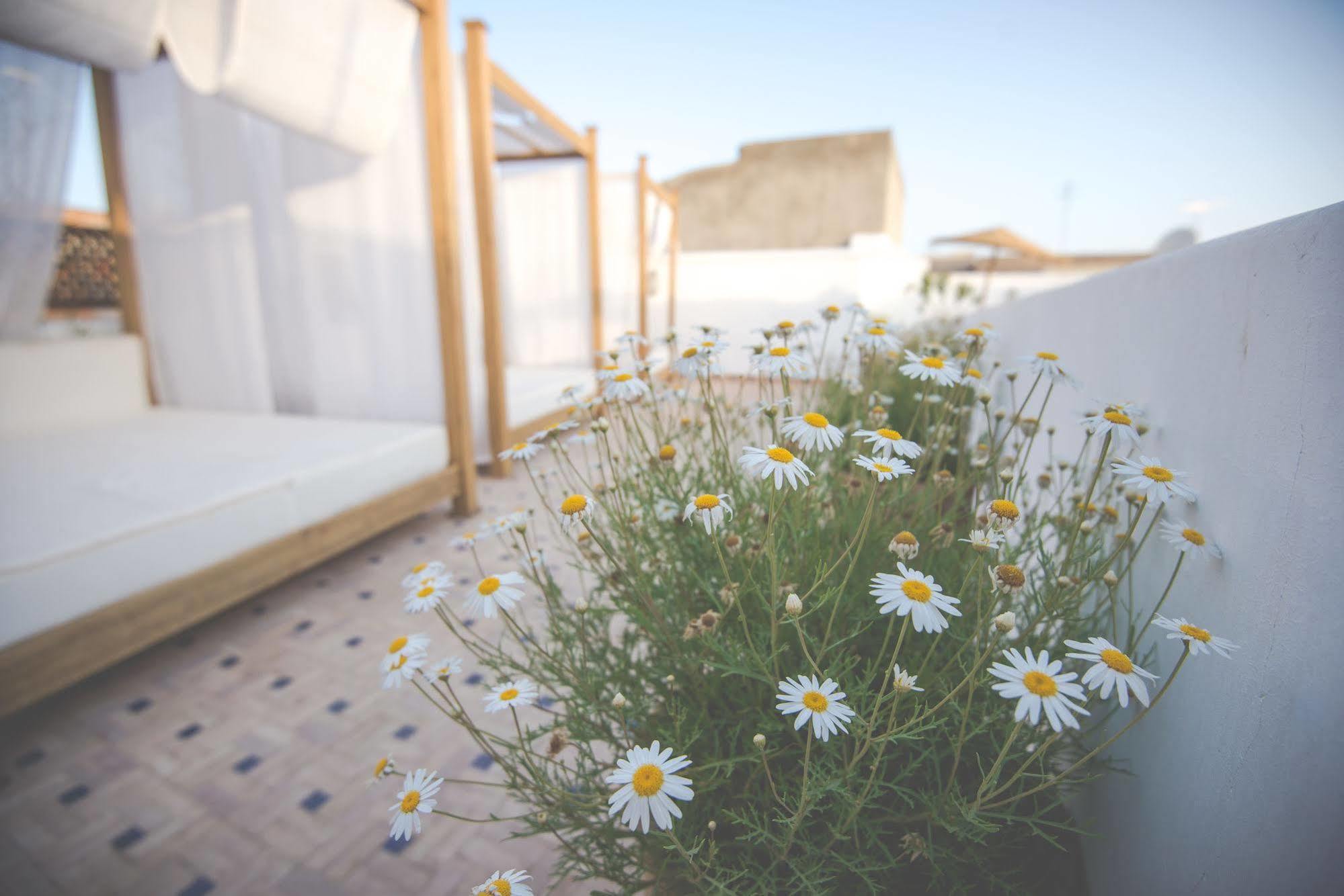 Hotel & Spa Riad El Walaa Маракеш Екстериор снимка